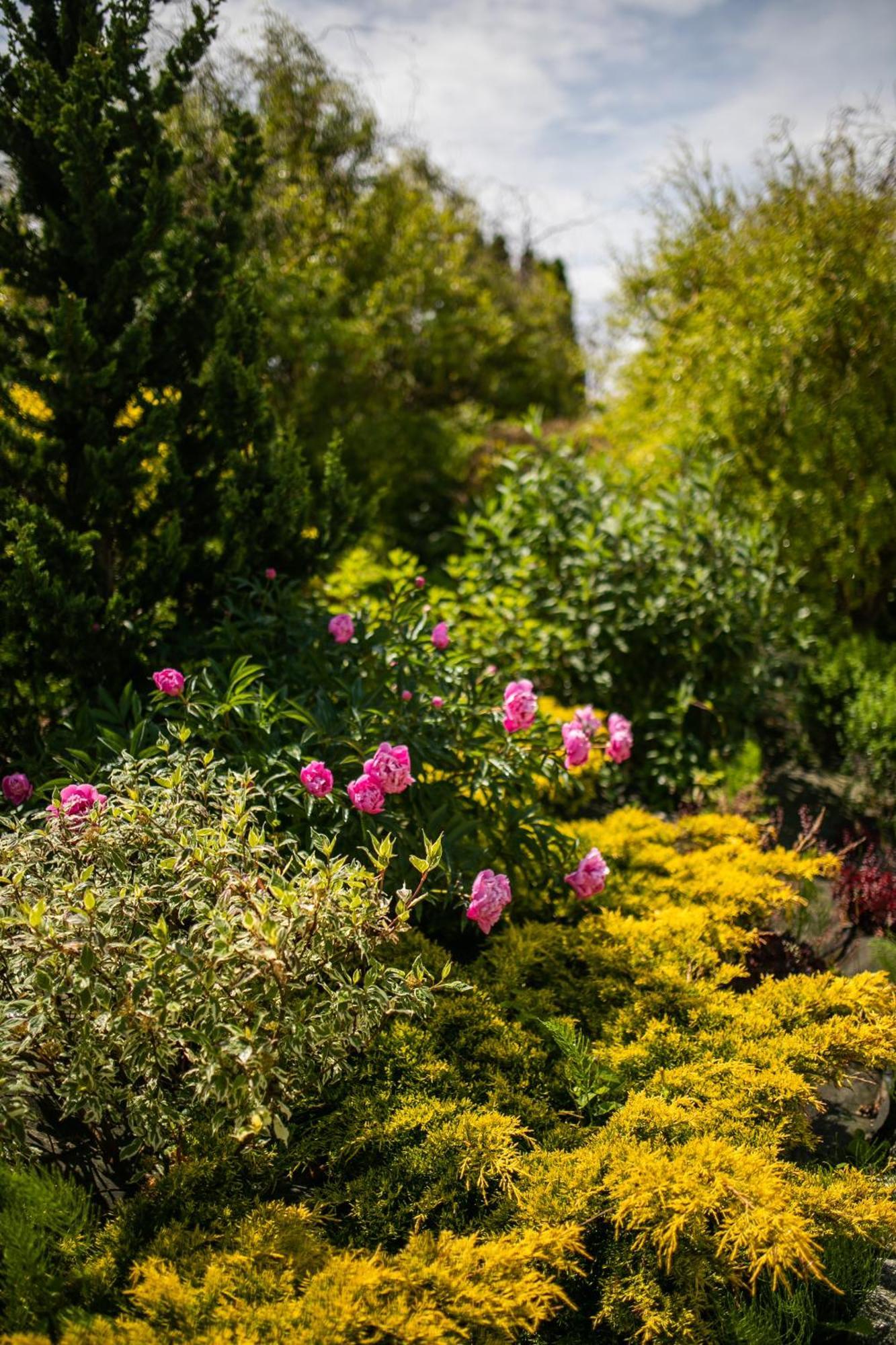 Nordowi Dwor Bed & Breakfast Celbowo Dış mekan fotoğraf